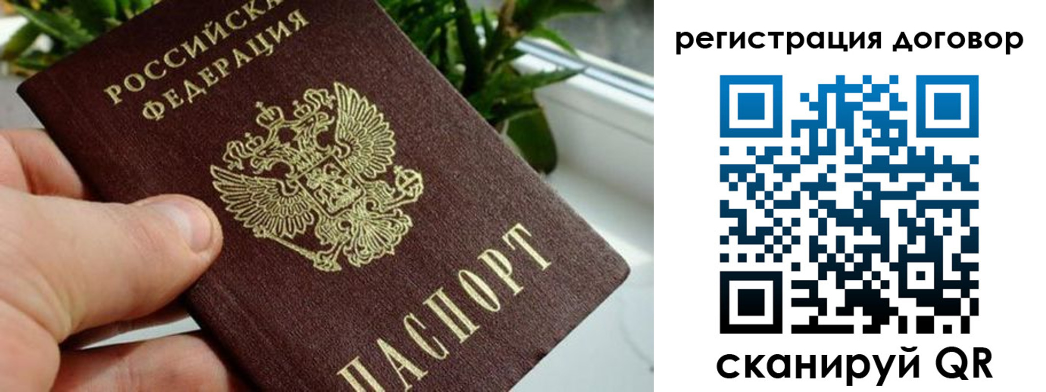 прописка ребенка в Ливны